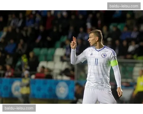 波黑队点球晋级代价高昂，哲科伤情牵动全队战术布置